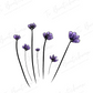 Sweat Fleurs Violettes en coton BIO